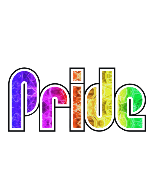 Bold Pride | T-shirt
